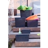 CURVER KOSZYK MY STYLE BASKET A6 KREM