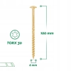 WKRĘTY WKRĘT DO WIĘŹBY DACHOWEJ 6 x 100mm 100szt CIESIELSKI