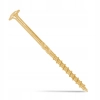 WKRĘTY WKRĘT DO WIĘŹBY DACHOWEJ 6 x 100mm 100szt CIESIELSKI