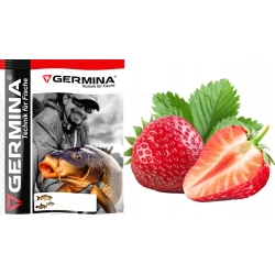 Zanęta na ryby wędkarska GERMINA TRUSKAWKA 1 kg